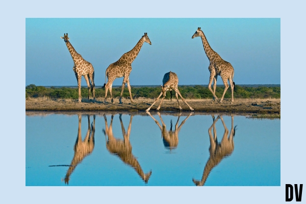 auf eigenen Beinen/Füßen stehen