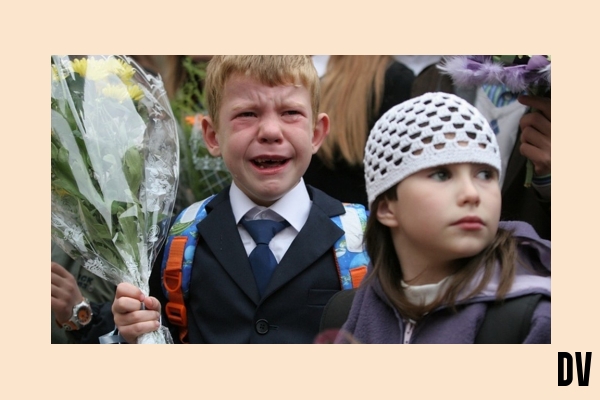 die Schulbank drücken