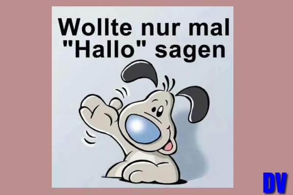 Hallo