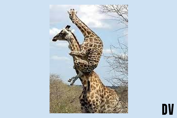 jmd. das Leben schwer machen