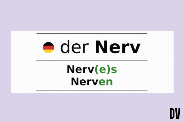 Nerv