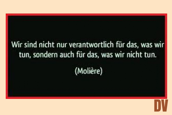 nicht nur ... sondern auch