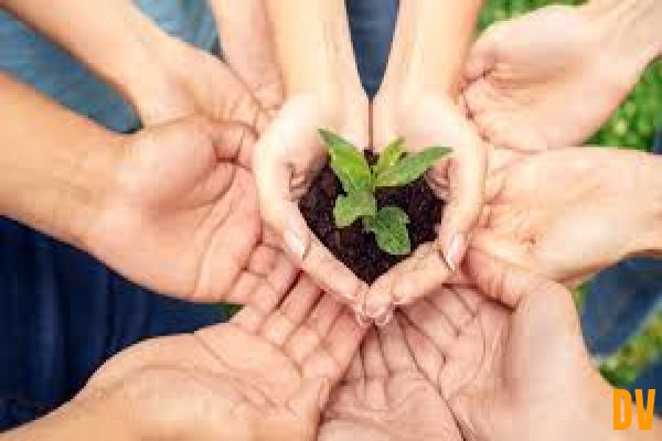 verantwortlich handeln