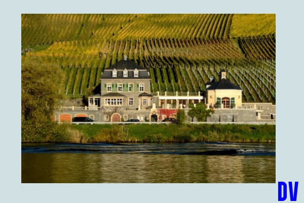 Weingut