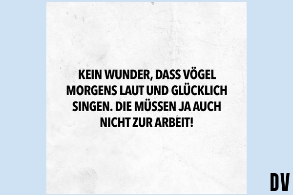 Es ist kein Wunder, dass …